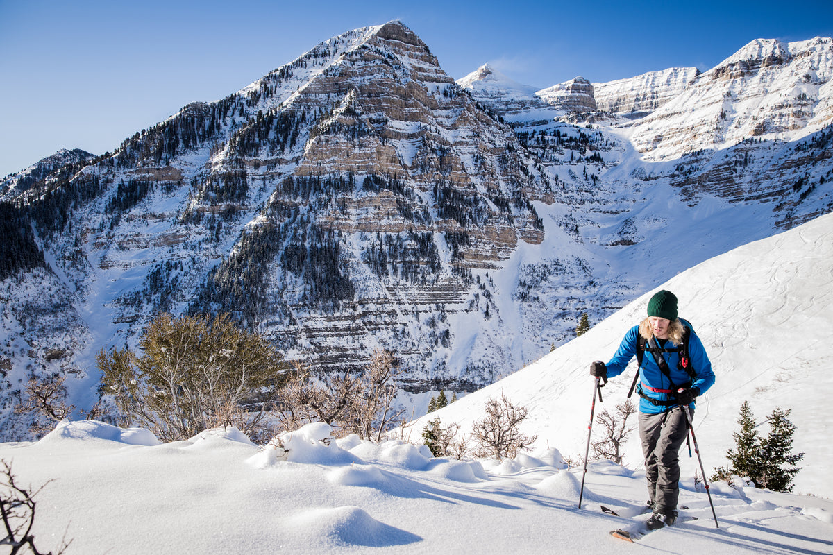Avalanche Probes Neptune Mountaineering