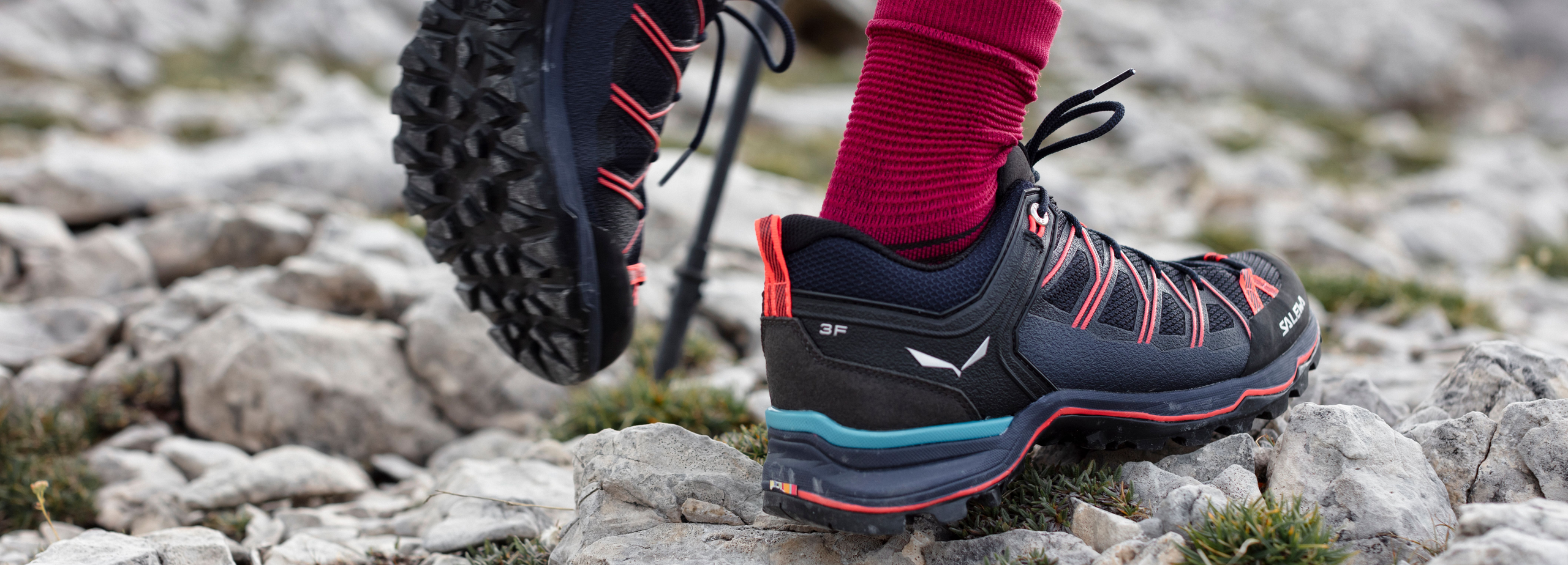 Salewa ws mtn trainer gtx hot sale