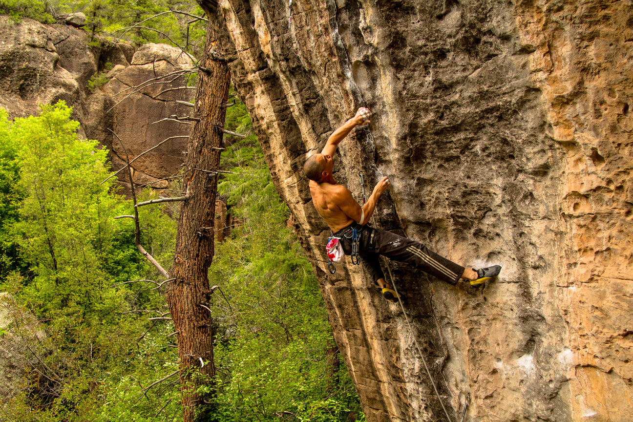 climbing harnesses | neptune