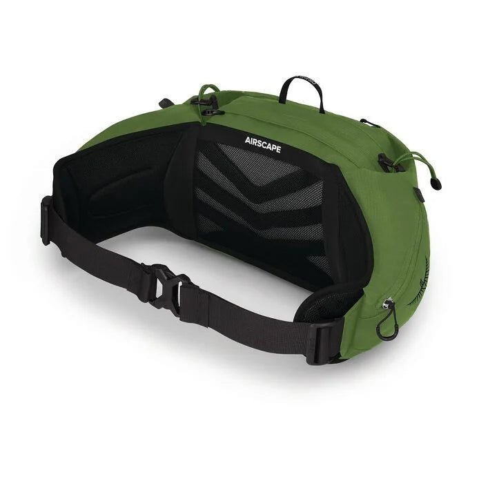 Talon 6 Green Belt/Black O/S