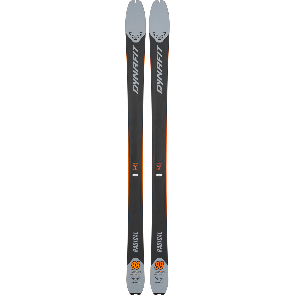 Radical 88 Ski