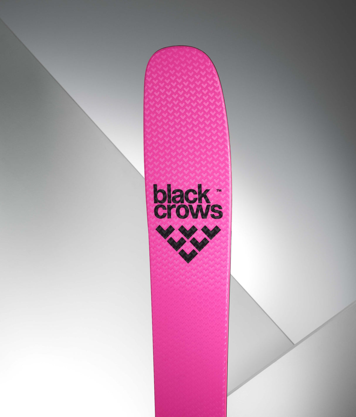 Corvus Freebird Pink / 176