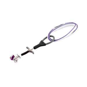 Dragonfly Cam - Offset Silver/Purple / 6-May