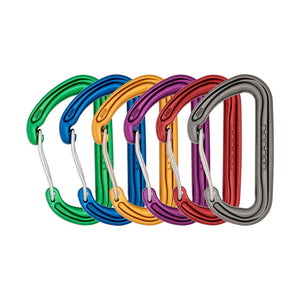 Spectre Carabiner SILVER