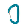 Spectre Carabiner Turq