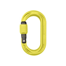 Load image into Gallery viewer, DMM Perfecto Screwgate Locking Carabiner
