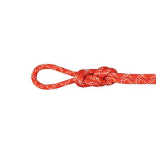 Load image into Gallery viewer, Mammut 9.5mm Gym Classic Single Rope
