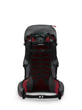 Load image into Gallery viewer, Osprey Talon Pro 30 Mens Pack
