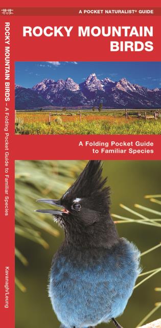 Rocky Mountain Birds Pocket Guide